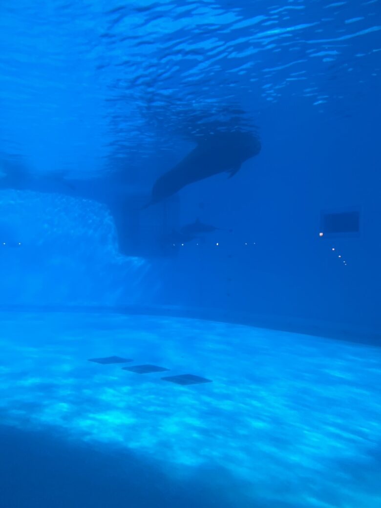 海の中道水族館