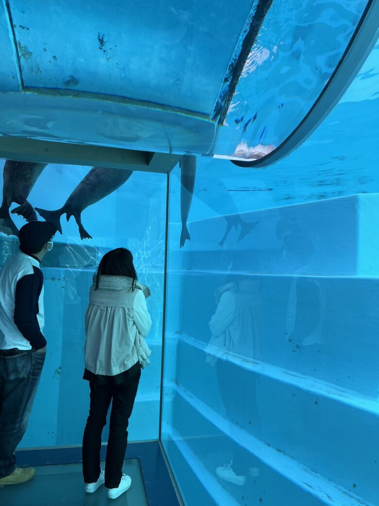 海の中道海浜水族館