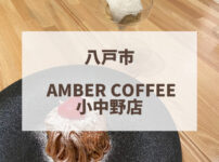 アンバーコーヒー小中野店