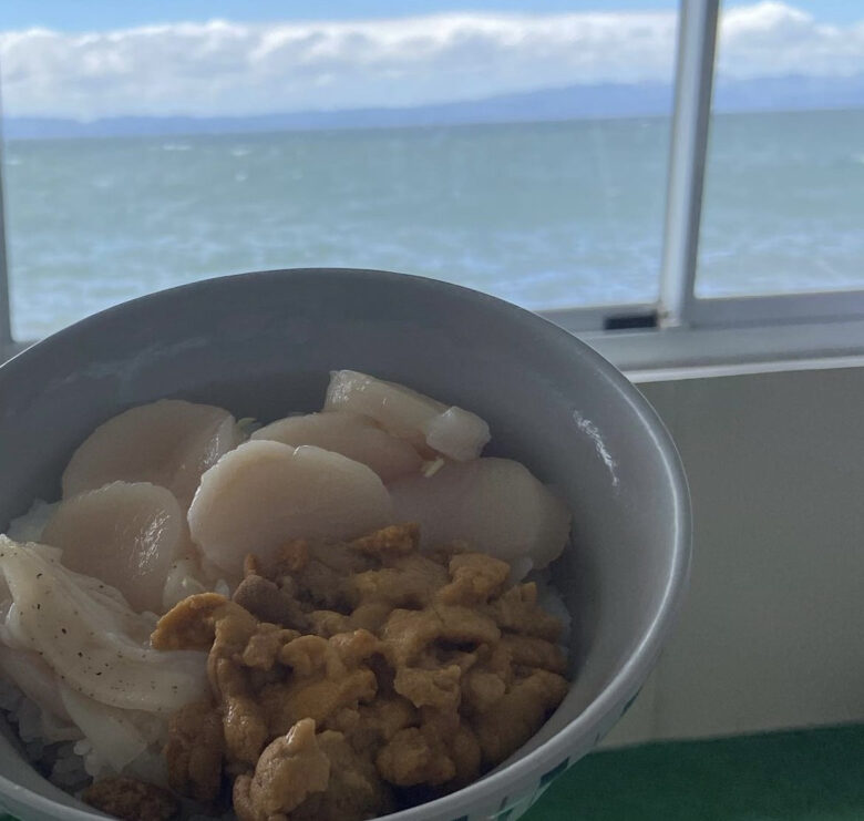 のっけ丼