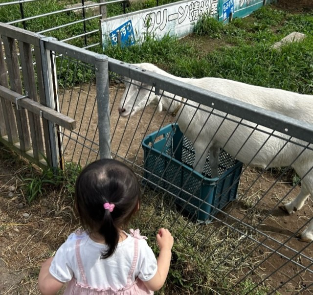 ヤギさん